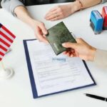 immigration consultant